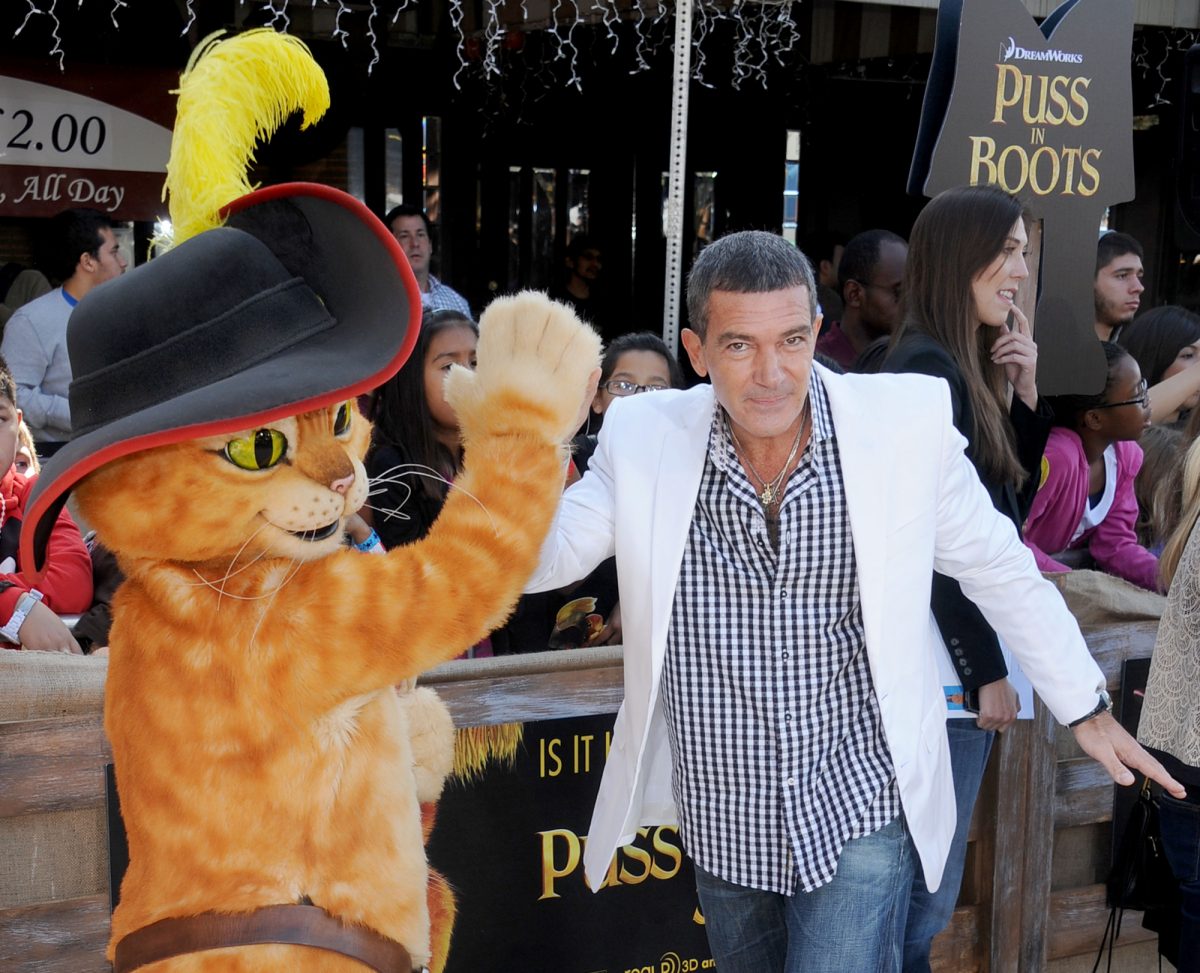 La star de 'Shrek 2' Antonio Banderas et le Chat Potté font un high-five devant une foule de fans