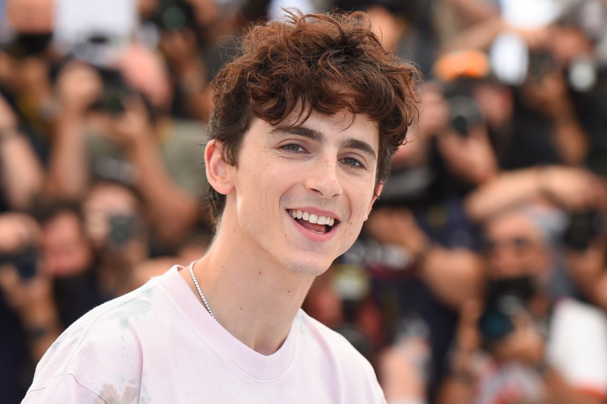 L'acteur de cinéma Timothée Chalamet au photocall 'The French Dispatch' portant un t-shirt blanc