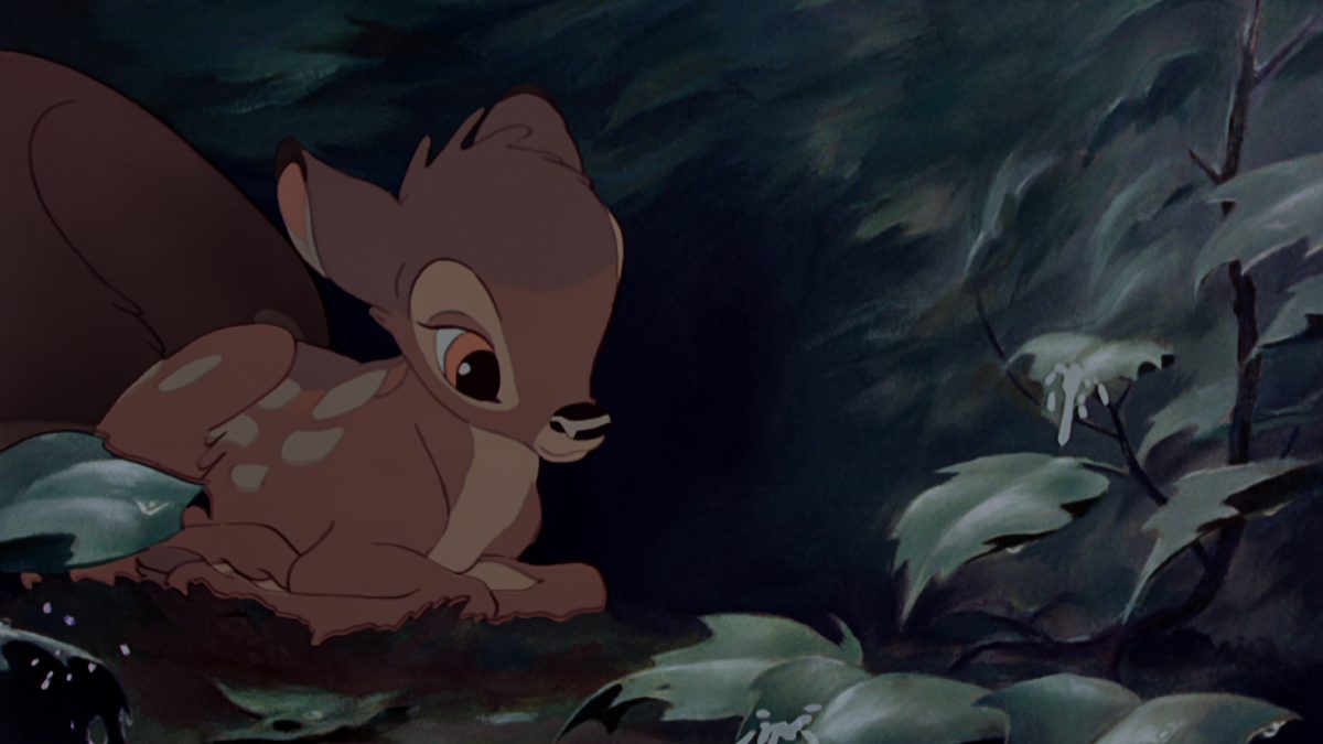 Le jeune Bambi, exprimé par Donnie Dunagan, regarde la pluie tomber dans le "Petites averses d'avril" scène de Bambi de Disney