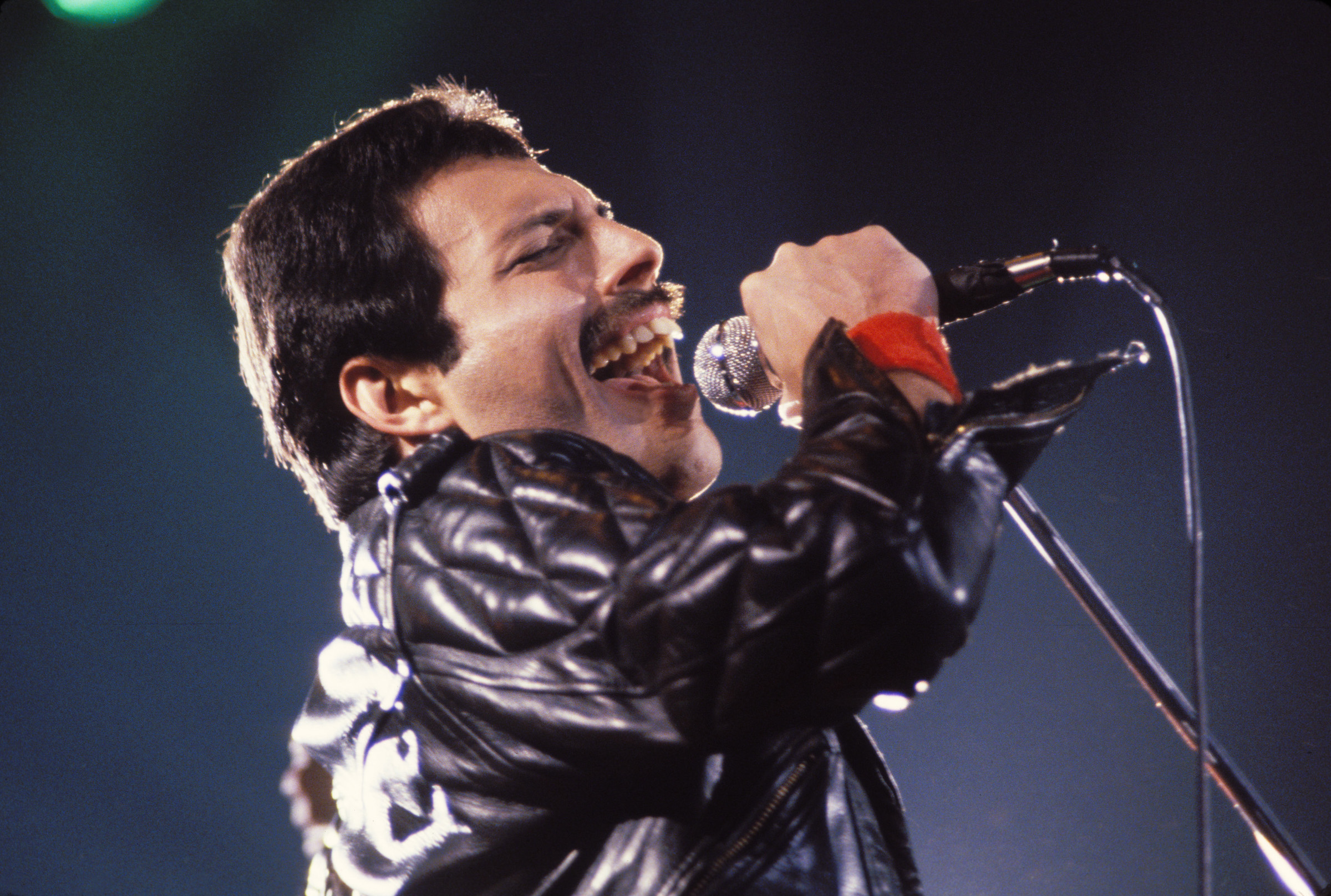 Freddie Mercury chantant dans un micro