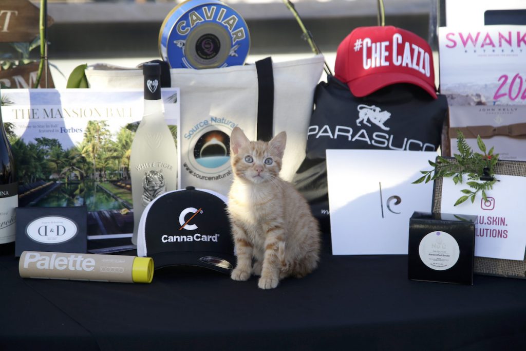 Les sacs-cadeaux pré-Oscar 2020 sont exposés avant l'événement et comprennent un chapeau, des cartes-cadeaux, du caviar et des soins de la peau