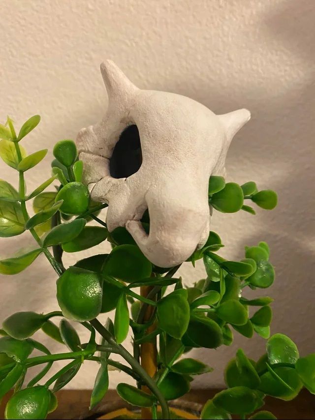 Cubone terrarium