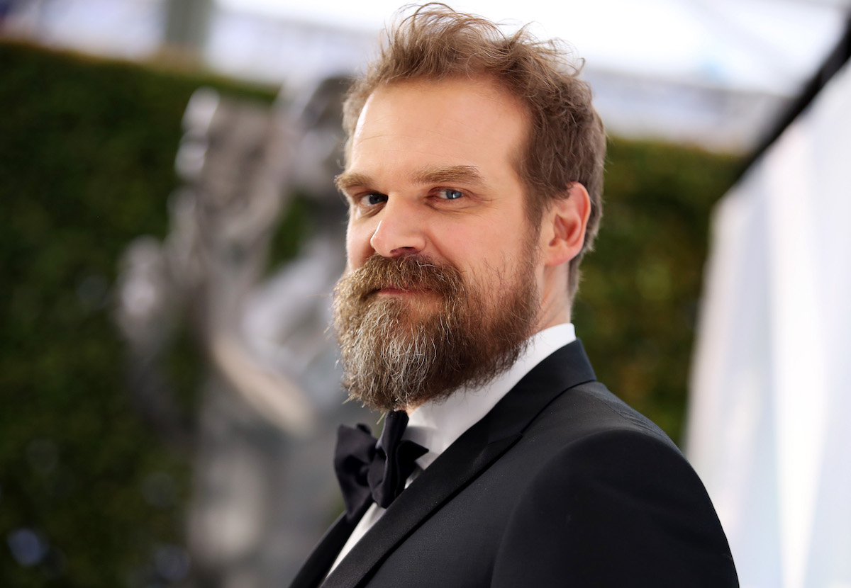 David Harbour Stranger Things Brokeback Mountain Ang Lee