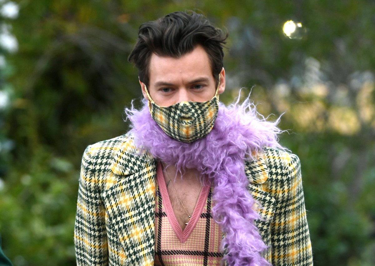 styles harry