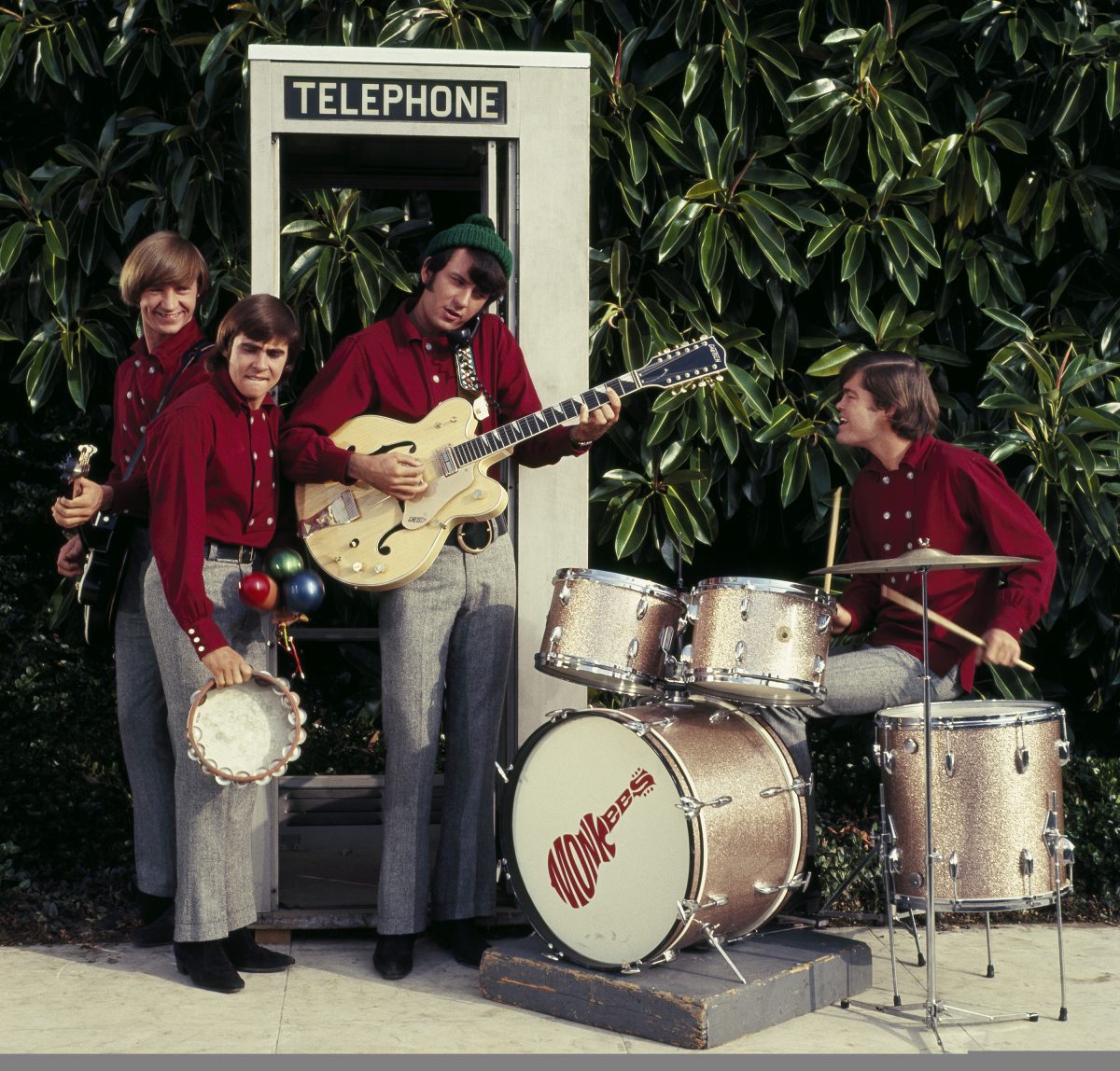 Peter Tork, Davy Jones, Mike Nesmith et Micky Dolenz des Monkees jouant des chansons près des plantes