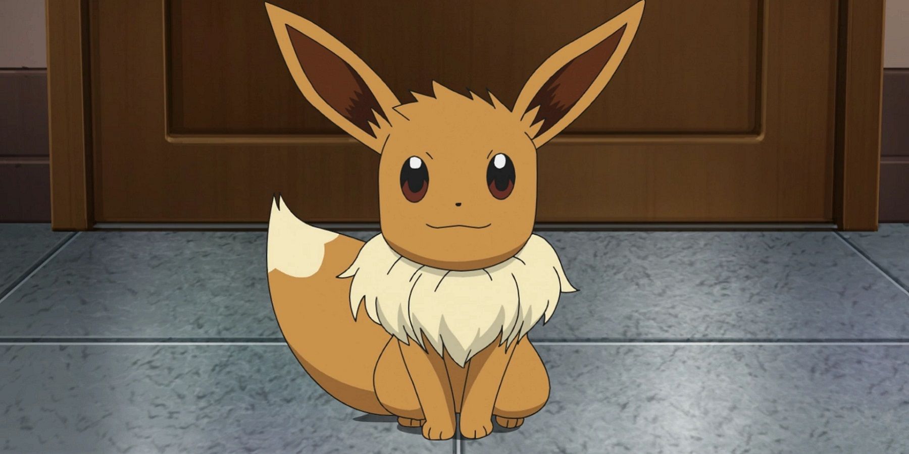pokémon anime évoli