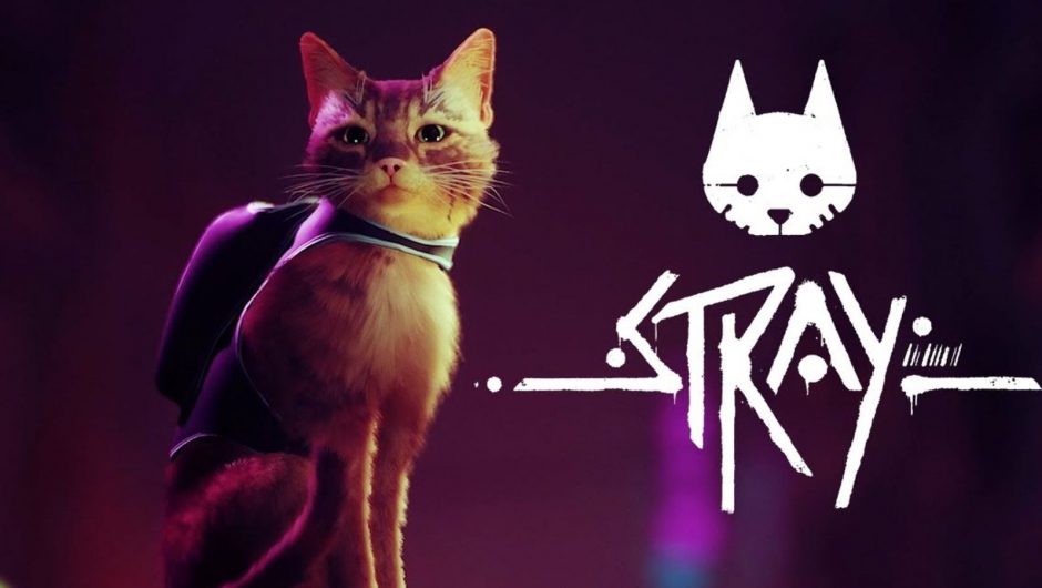 Rumeur: la date de sortie du jeu PlayStation Cat Stray a été divulguée en ligne
