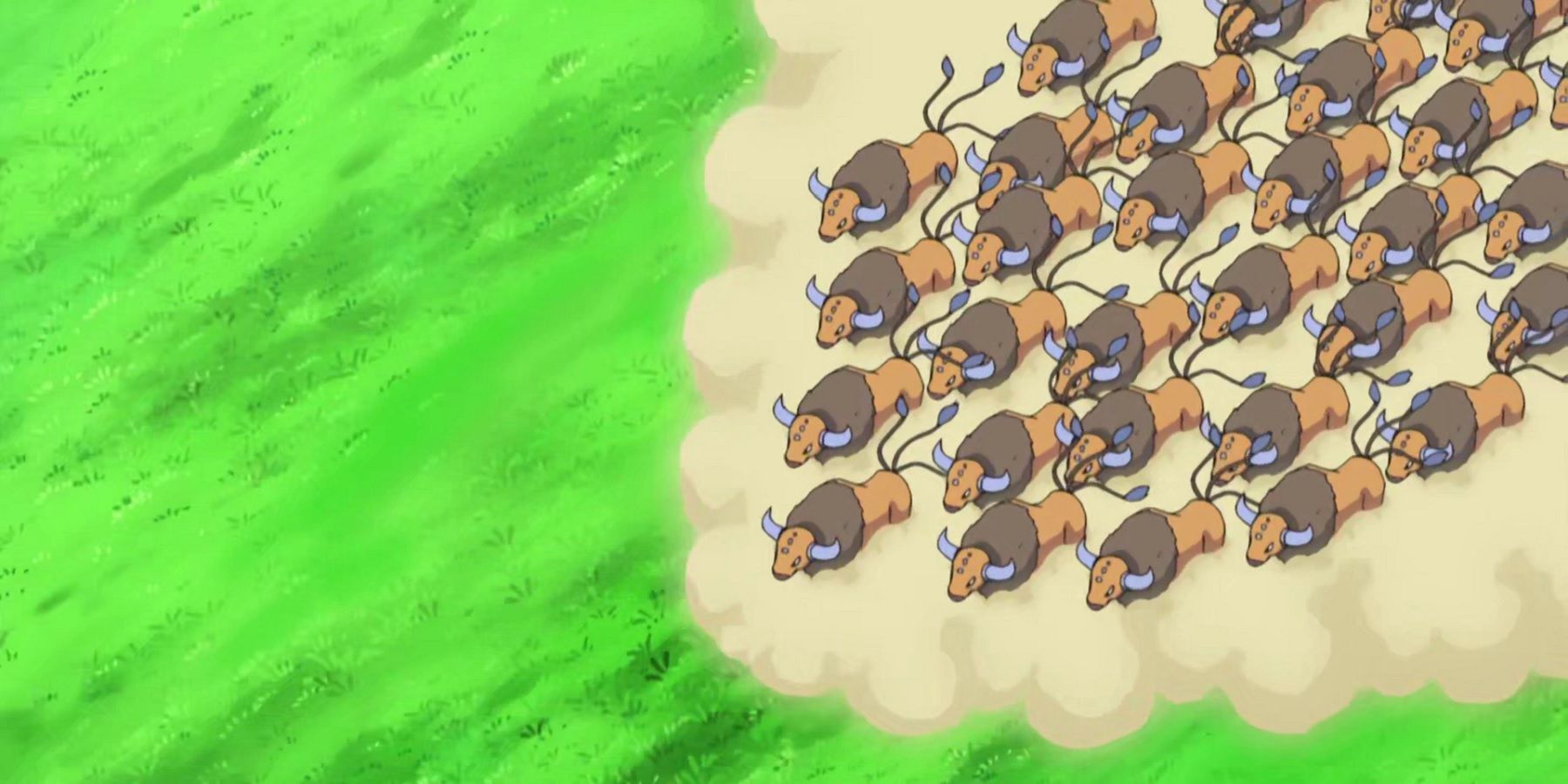 pokemon anime bousculade des taureaux