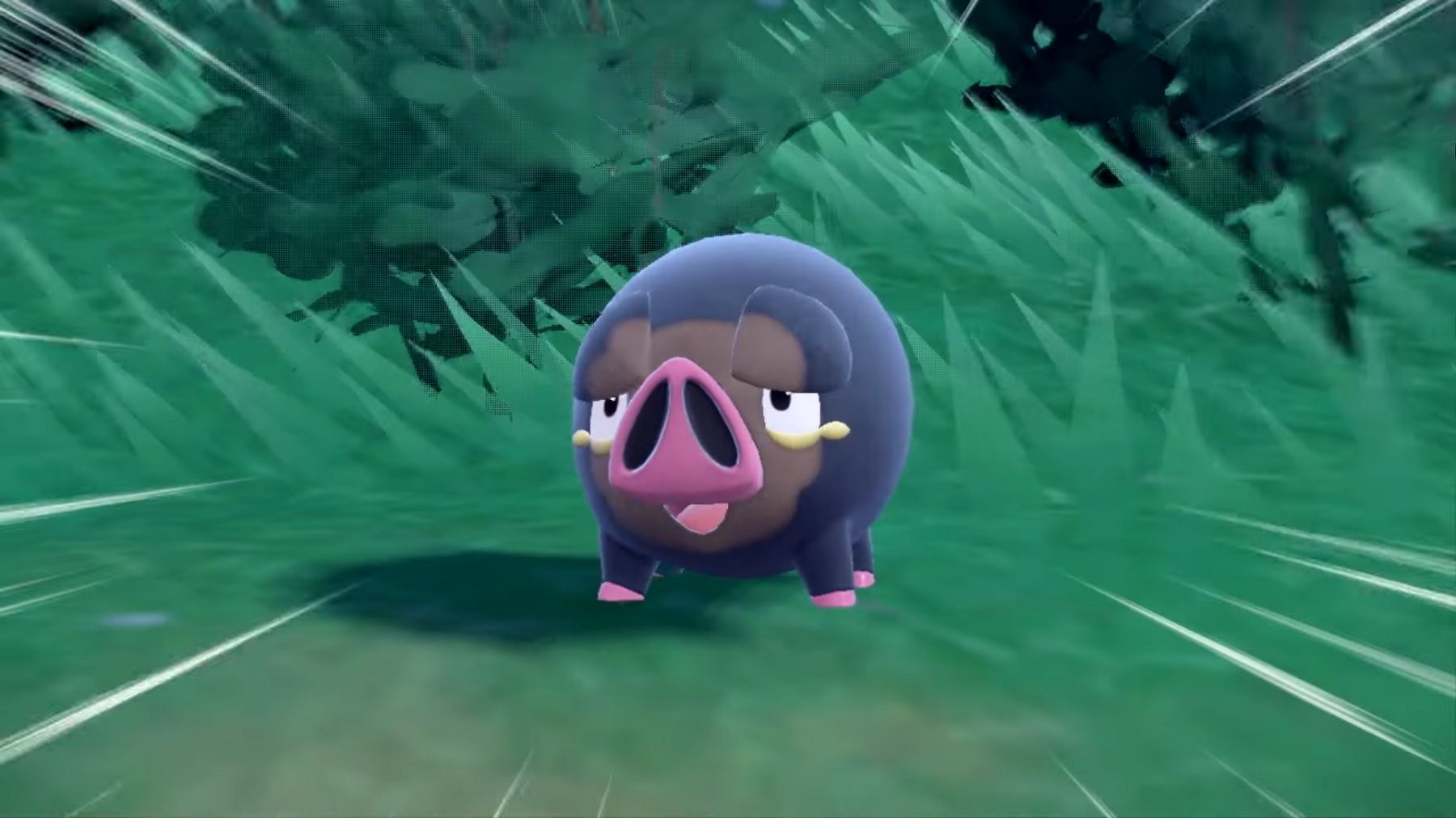 pokémon écarlate et violet lechonk