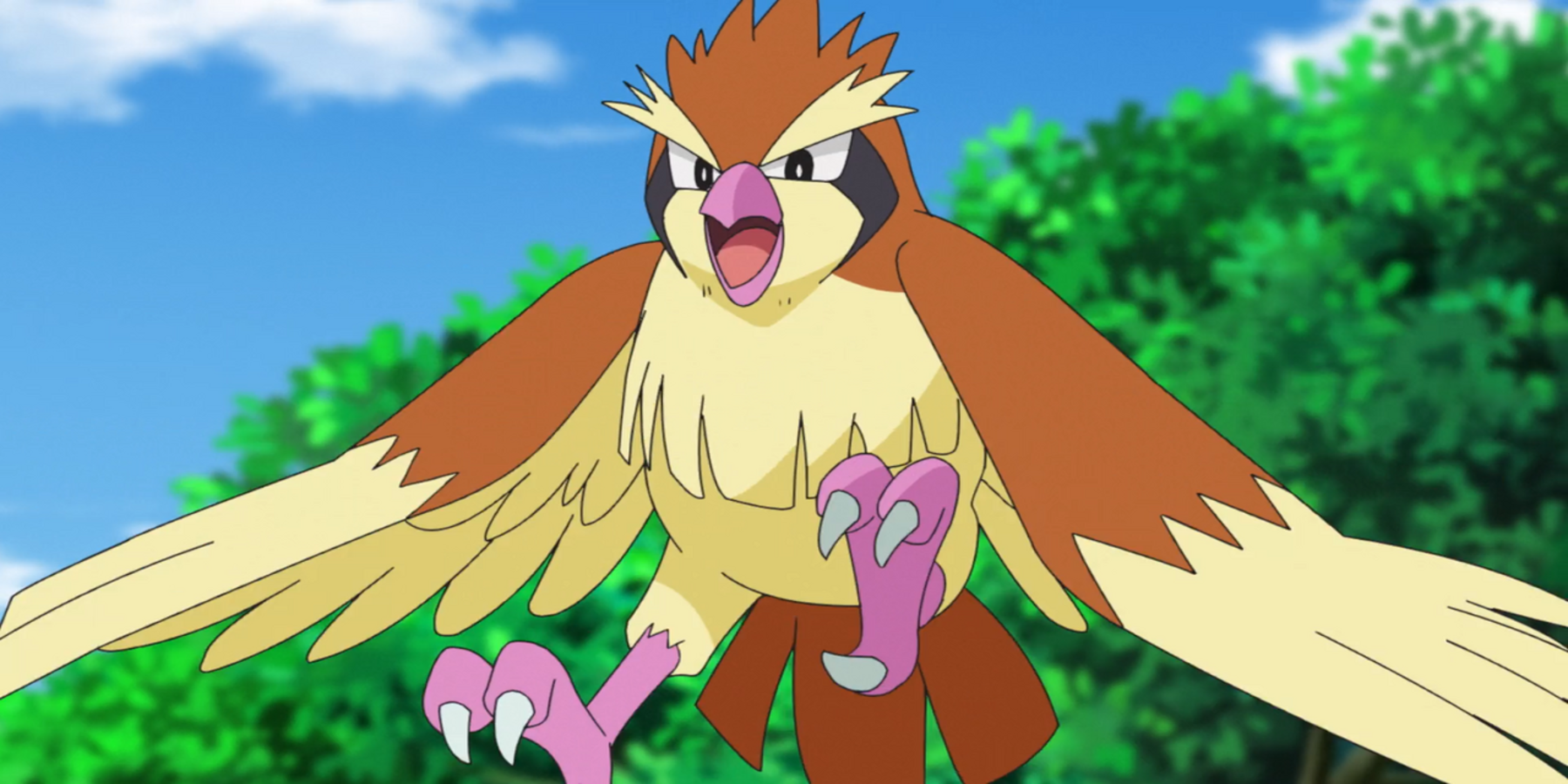 pidgey pokemon oiseau rouge et bleu première génération