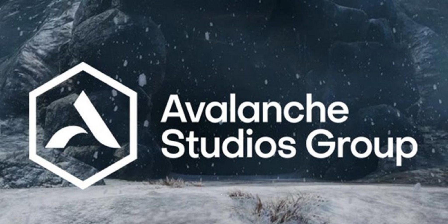 Groupe Avalanche-Studios