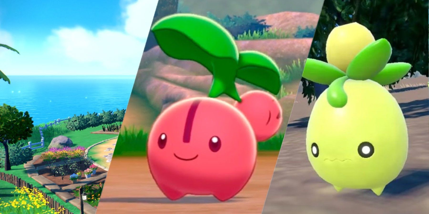pokemon violet écarlate forme régionale fuite présumée cherubi cherrim ramification évolution légendes pokemon arceus gen 9 gen 8