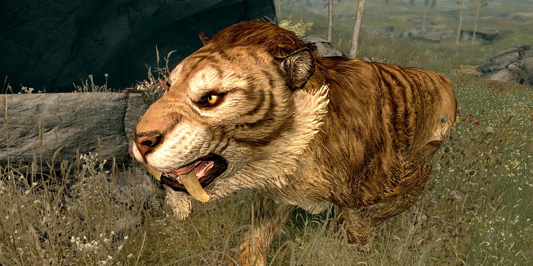Image de The Elder Scrolls 5: Skyrim montrant un gros plan haute résolution d'un chat sabre.