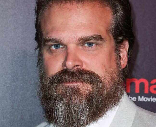 David Harbour qualifie le jeu de méthode de « dangereux et stupide »