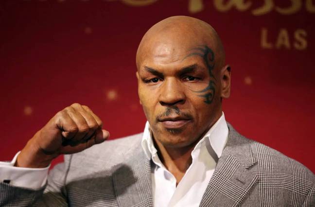 Whitmill a affirmé que le tatouage du personnage d'Ed Helms dans le film enfreignait le tatouage protégé par le droit d'auteur qu'il avait aiguilleté sur le visage de Tyson. Crédit : Alamy