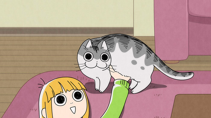 Nuits avec un chat Épisodes 9
