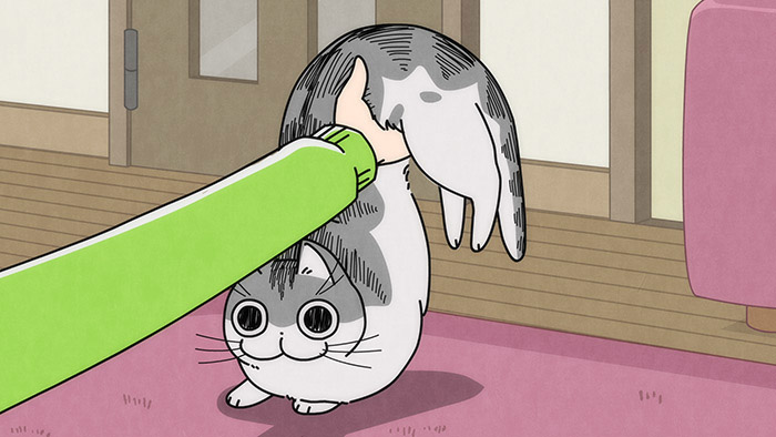 Nuits avec un chat Épisodes 9