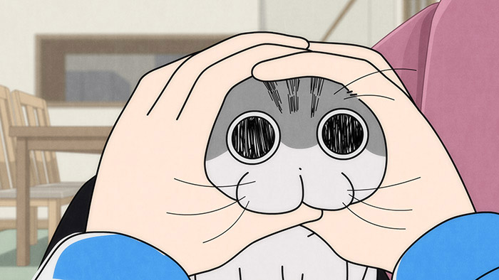 Nuits avec un chat Épisodes 10