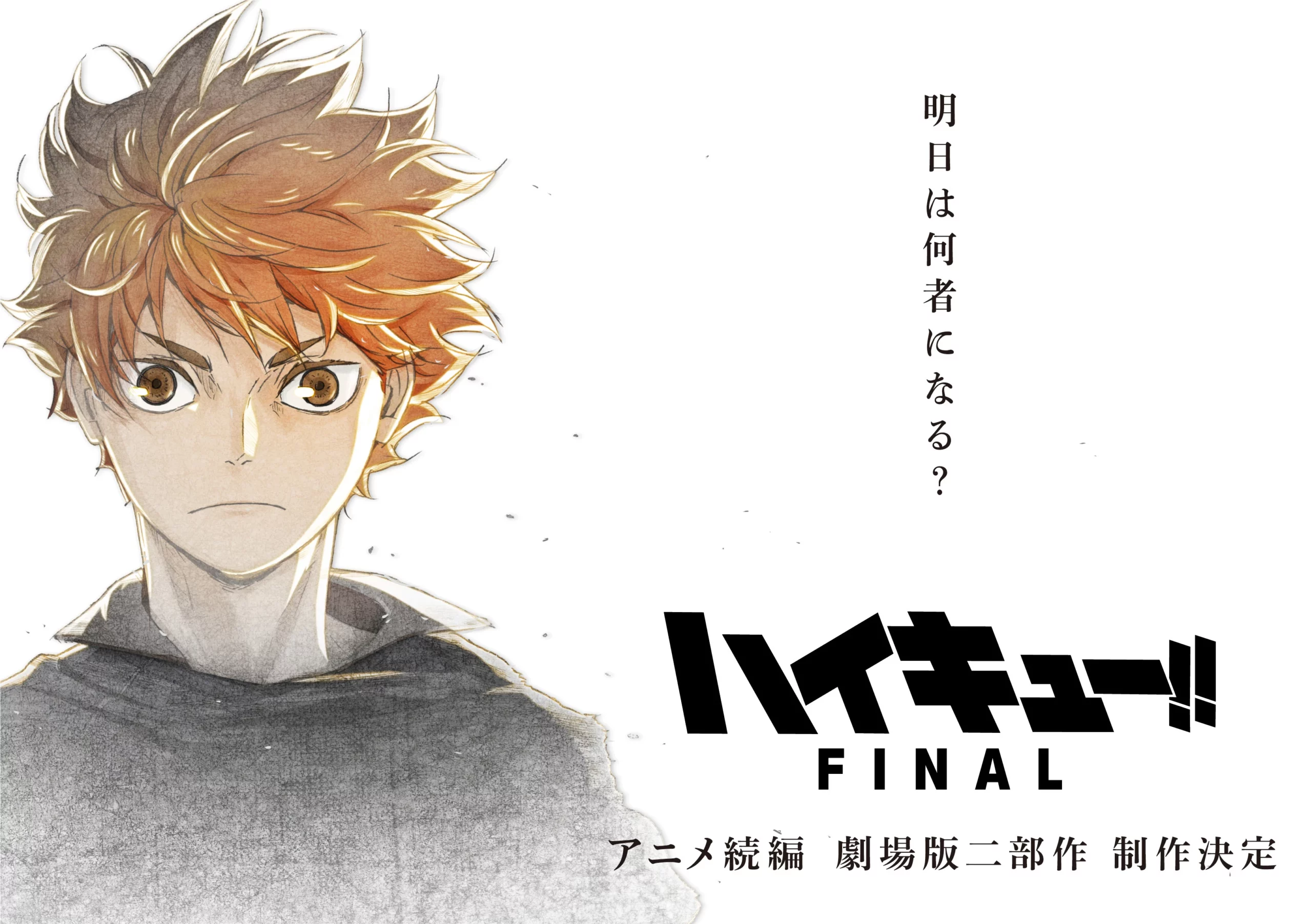 film final haikyu