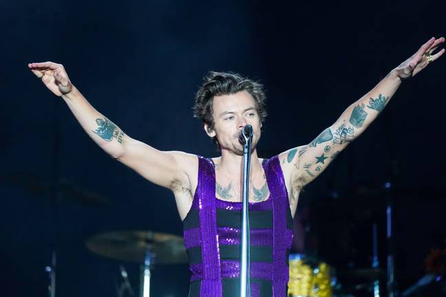 Harry Styles a été révélé comme l'un des principaux investisseurs du projet. Crédit : Alamy,