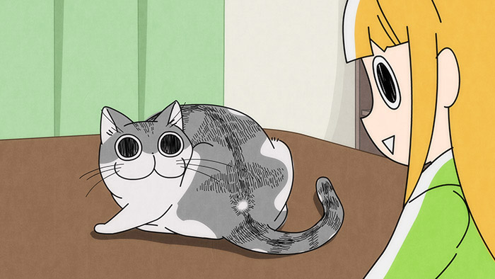 nuits avec un chat épisode 11