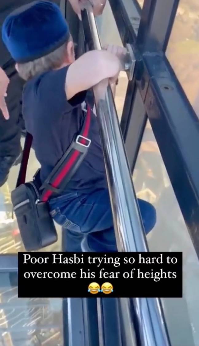 Il est prudent de dire que Hasbulla n'a pas apprécié la vue.  Crédit : TikTok/@khusain77
