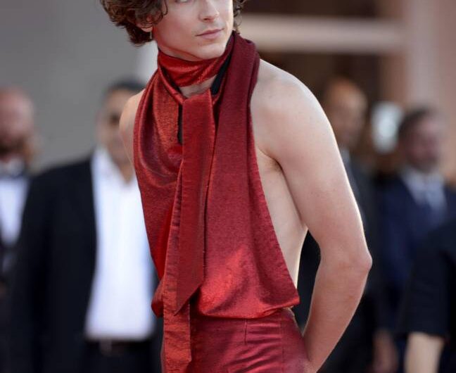 Les gens ne peuvent pas ignorer Timothée Chalamet dans le rôle de M. Tumnus après le tapis rouge