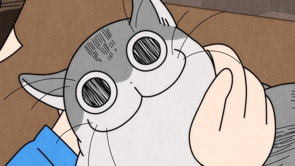 nuits avec un chat épisode 21