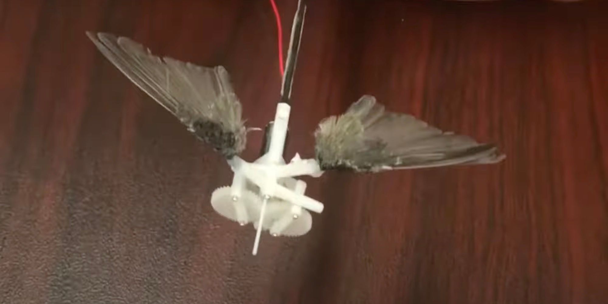 Le composant battant des ailes d'un drone d'oiseau, avec seulement de petites ailes attachées au mécanisme