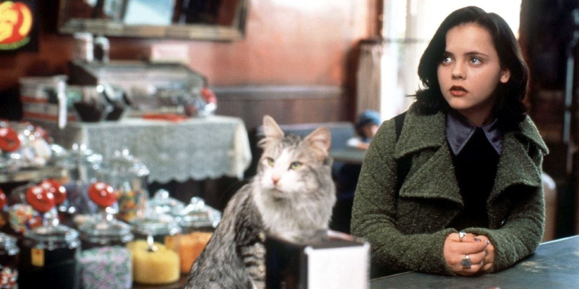 Ce sacré chat - 1997