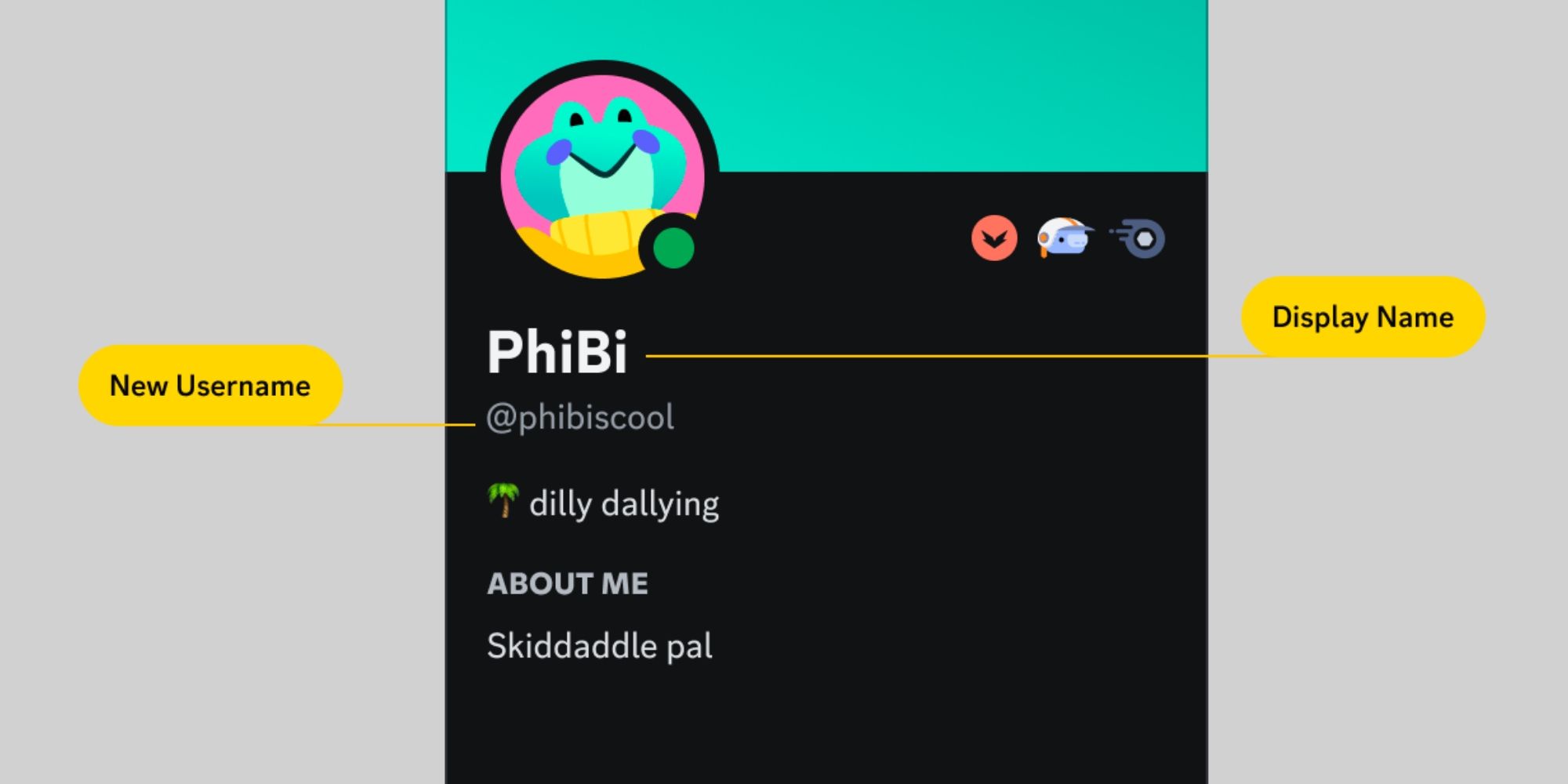 Discord nouveau nom d'utilisateur et nom d'affichage