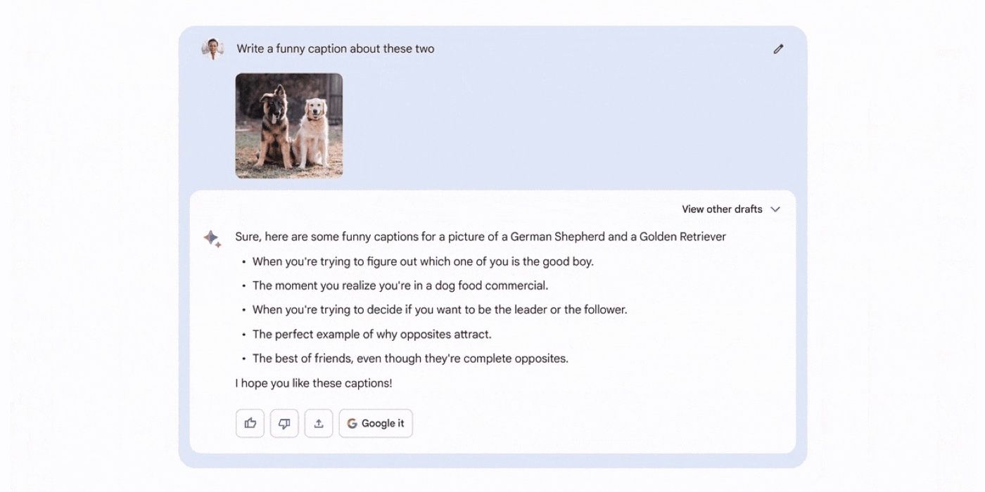 Google Lens utilisé dans Bard