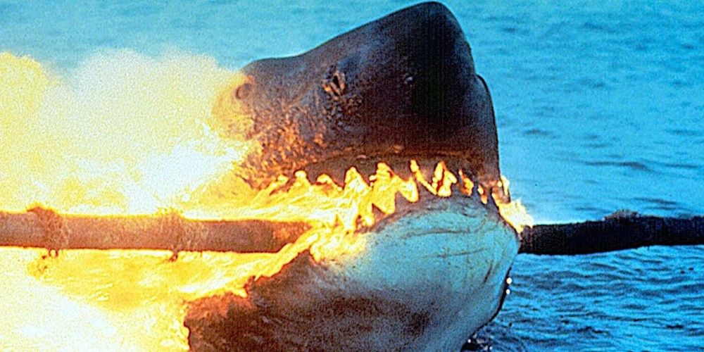 Le requin de 