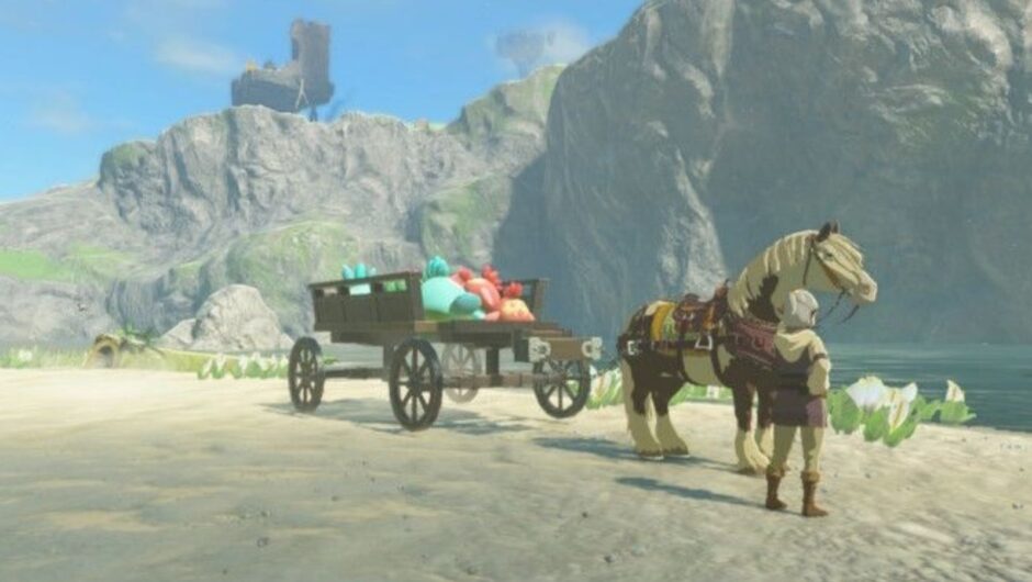 Zelda: Tears of the Kingdom Player trouve un moyen de cultiver des rubis avec le PNJ Sand Seal Plushie