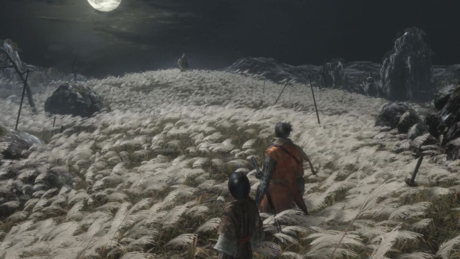 Pourquoi FromSoftware devrait exhumer Sekiro : les ombres meurent deux fois avant de créer une autre âme
