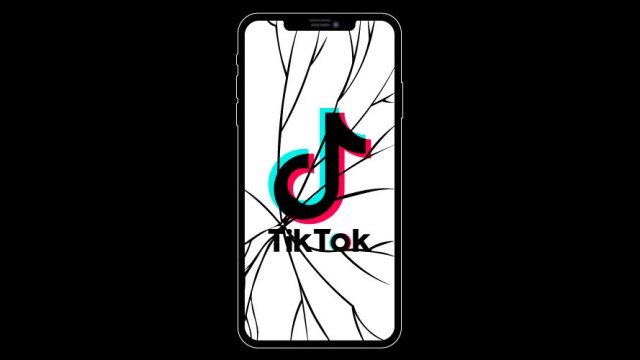 Si TikTok est retiré du marché américain, ses concurrents pourraient en bénéficier, mais cela pourrait également ralentir l’élan créatif et culturel que la plateforme a catalysé.