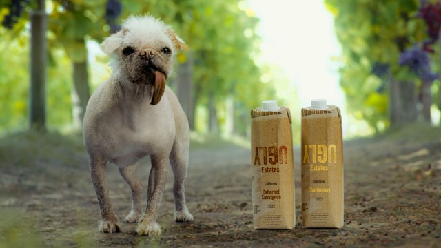 Ugly Estates, une collaboration entre Gallo et Maximum Effort, fait passer une nouvelle marque de vin en boîte à prix modeste dans une catégorie croissante.