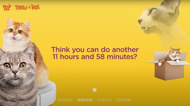 Le travail, de Leo Burnett Toronto, joue sur la nostalgie, ajoutant des outils d'engagement numérique.