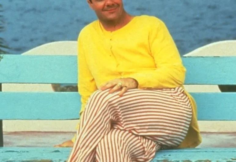 5 meilleurs films de Nathan Lane si vous aimiez «sourire»