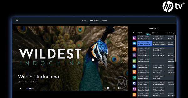 HP a discrètement lancé une application de streaming pour développer ses ambitions publicitaires